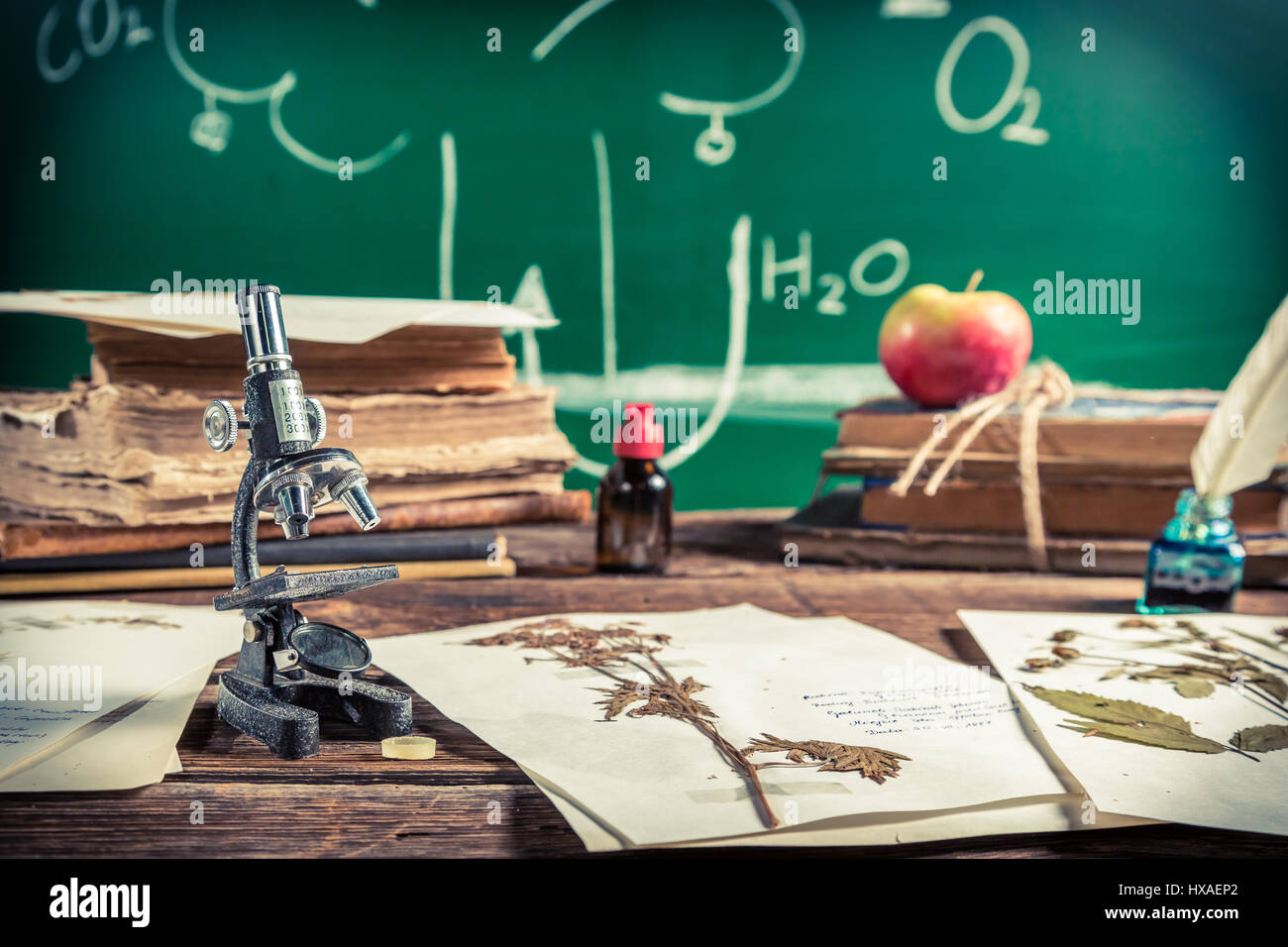 Vintage biology lesson at school on old wooden table Stock Photo - Alamy
