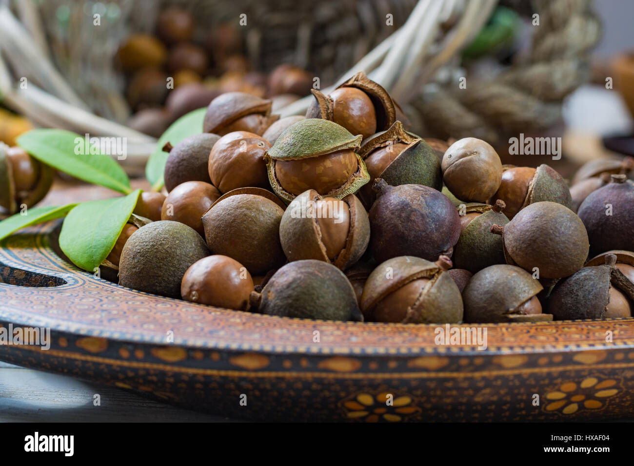 Macadamia nuts harvest close up with leaves Stock Photo Alamy