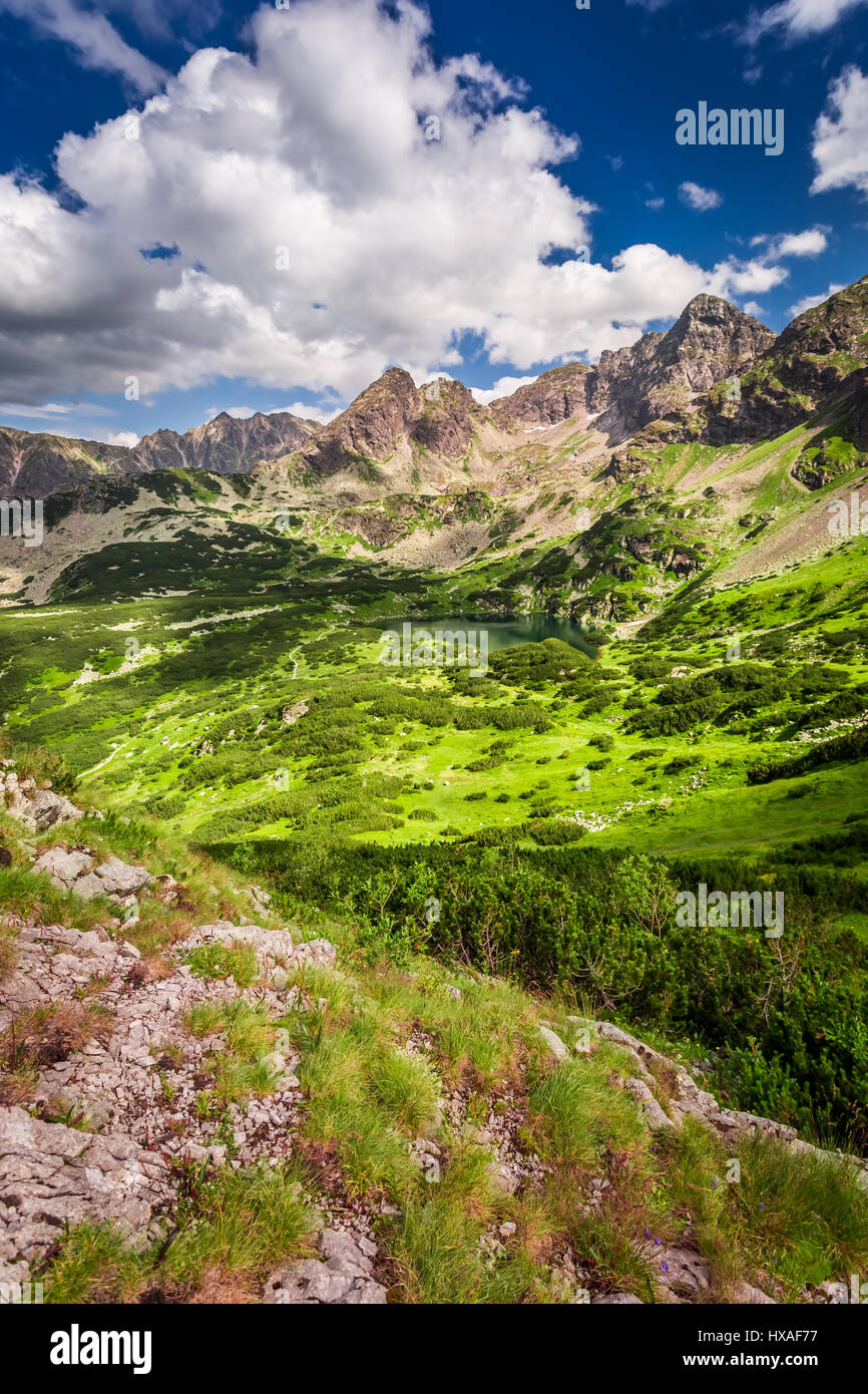 Tatra Mountains in the clouds in summer Stock Photo - Alamy