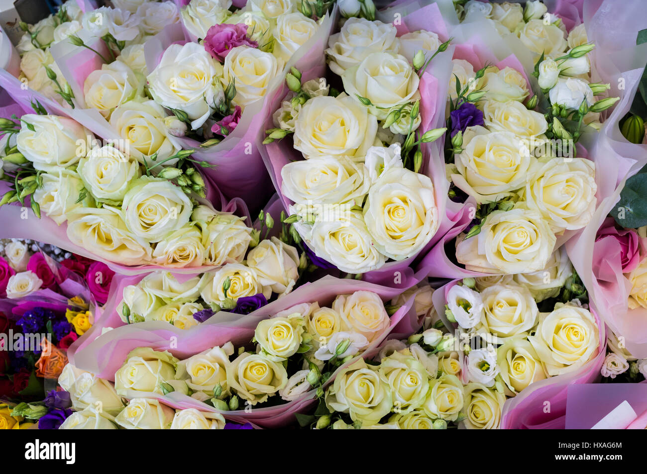 Bunches of different coloured roses for sale and on display at a florists. Stock Photo