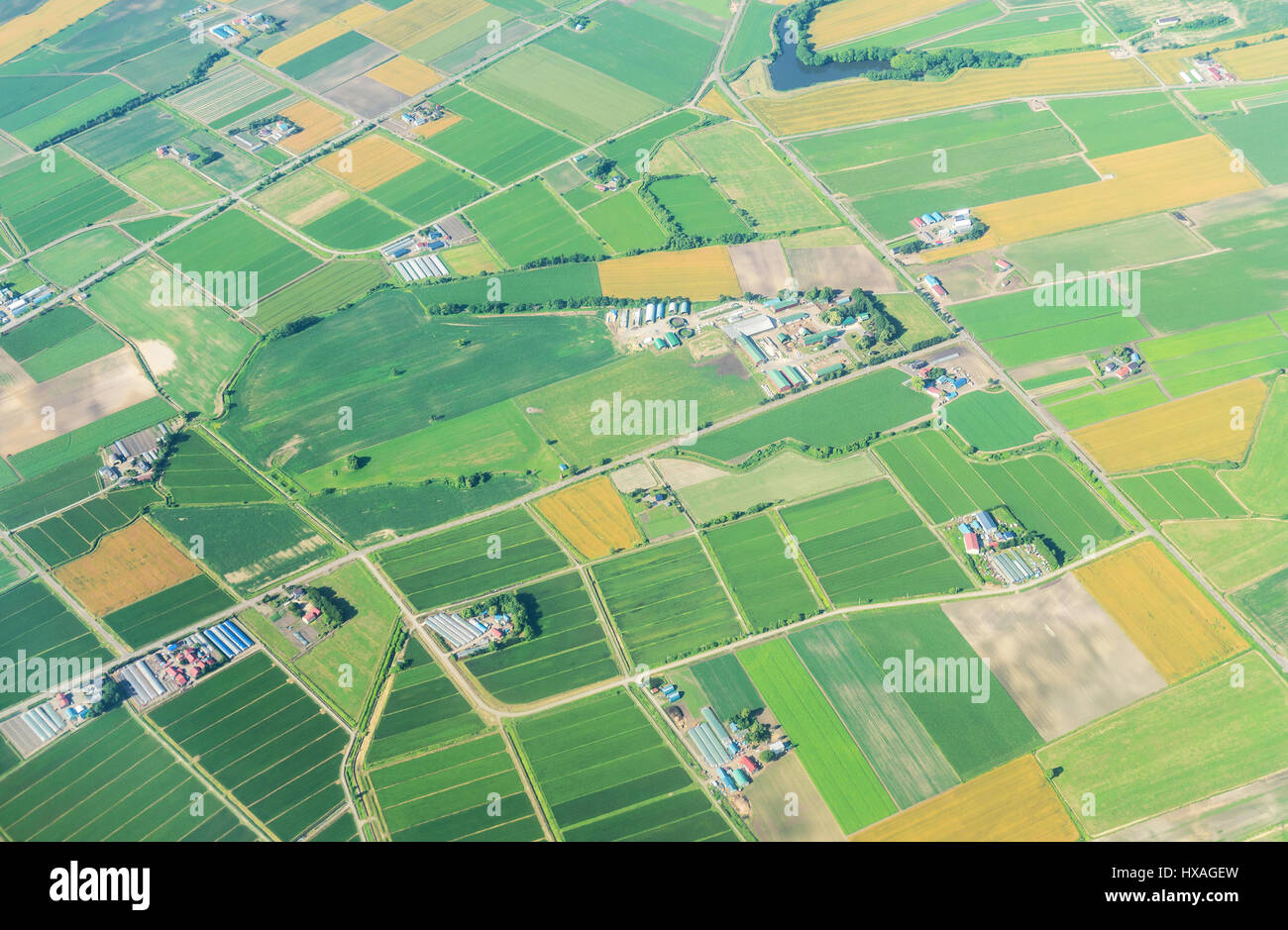 Aerial view from airplane of agriculture field in summer at chitose hokkaido japan Stock Photo
