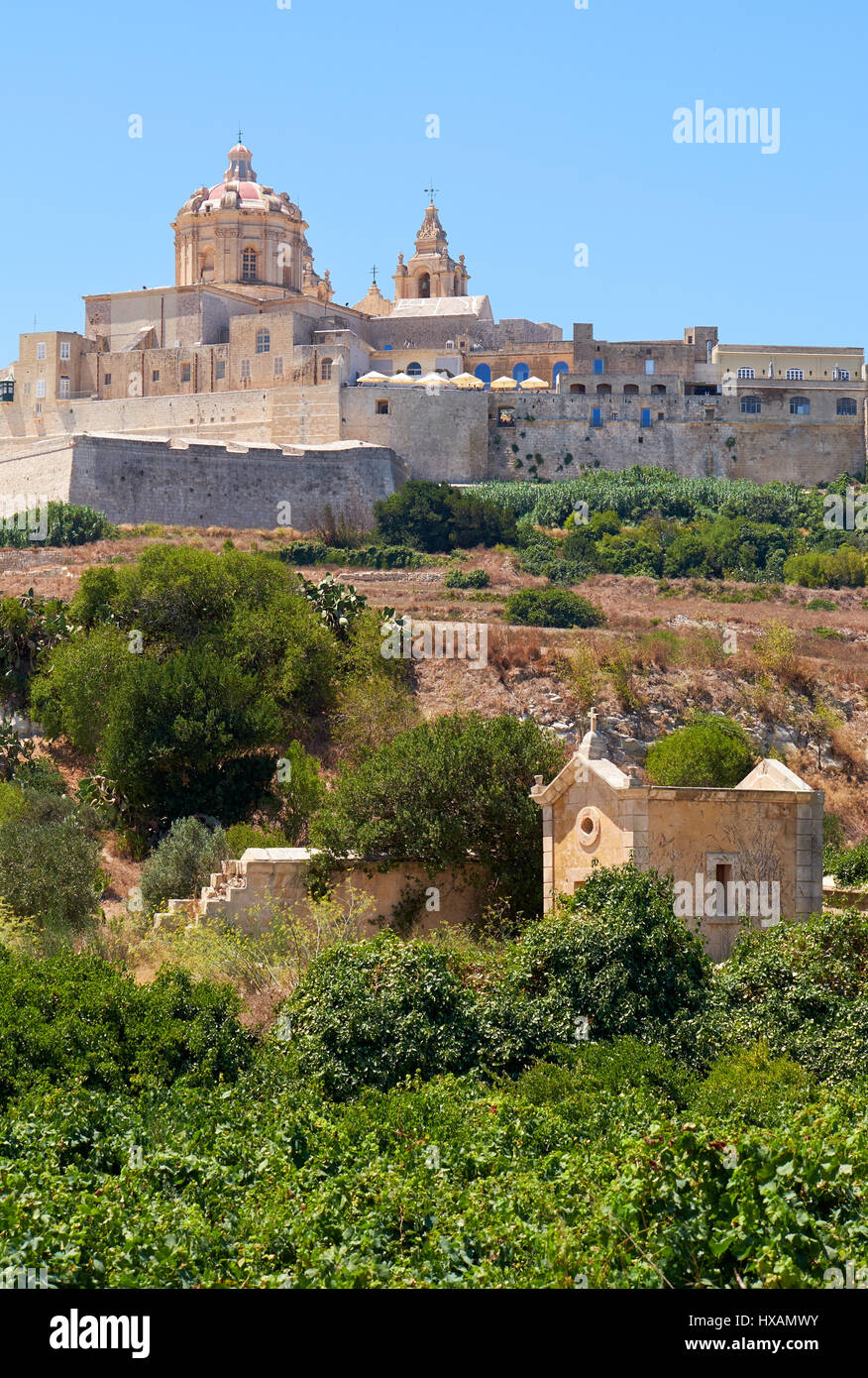 The view of the old capital Mdina surrounding by the fortress wall from the countryside below. Malta Stock Photo
