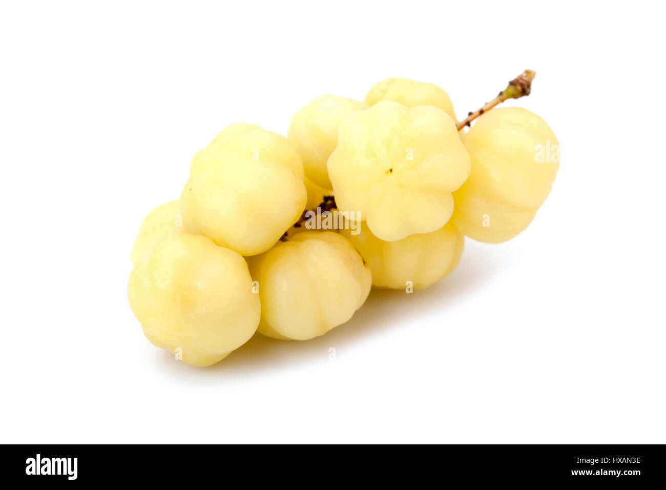 Phyllanthus acidus or star gooseberry isolated on white background Stock Photo