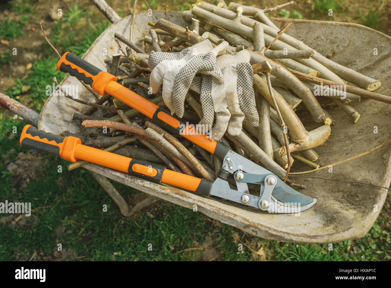 Loppers hi-res stock photography and images - Alamy