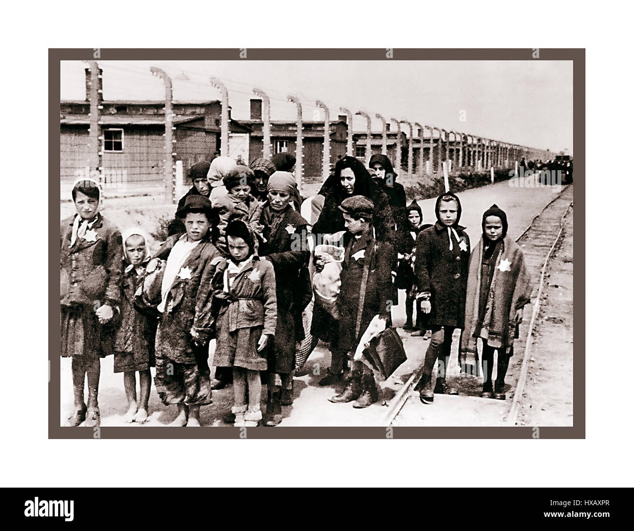 Auschwitz-Birkenau. Jewish children wearing Nazi designated yellow stars arrive in Auschwitz-Birkenau.  A WW2 German Nazi Concentration & Extermination camp. Jewish children made up the largest group of those deported to the camp. They were sent there along with adults, beginning in early 1942, as part of the “final solution of the Jewish question”—the total destruction of the Jewish population of Europe...Auschwitz concentration camp was a network of German Nazi concentration camps and extermination camps built and operated by Third Reich in Polish areas annexed by Nazi Germany during WW2 Stock Photo