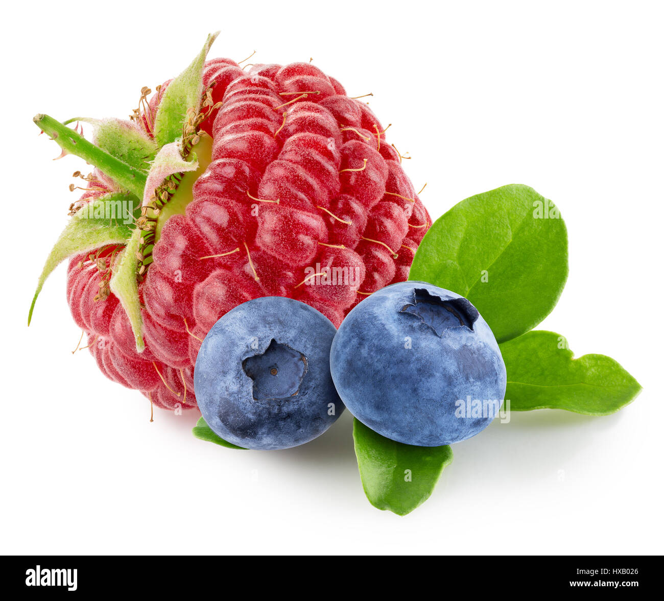 raspberry and blueberries isolated on white background. Stock Photo