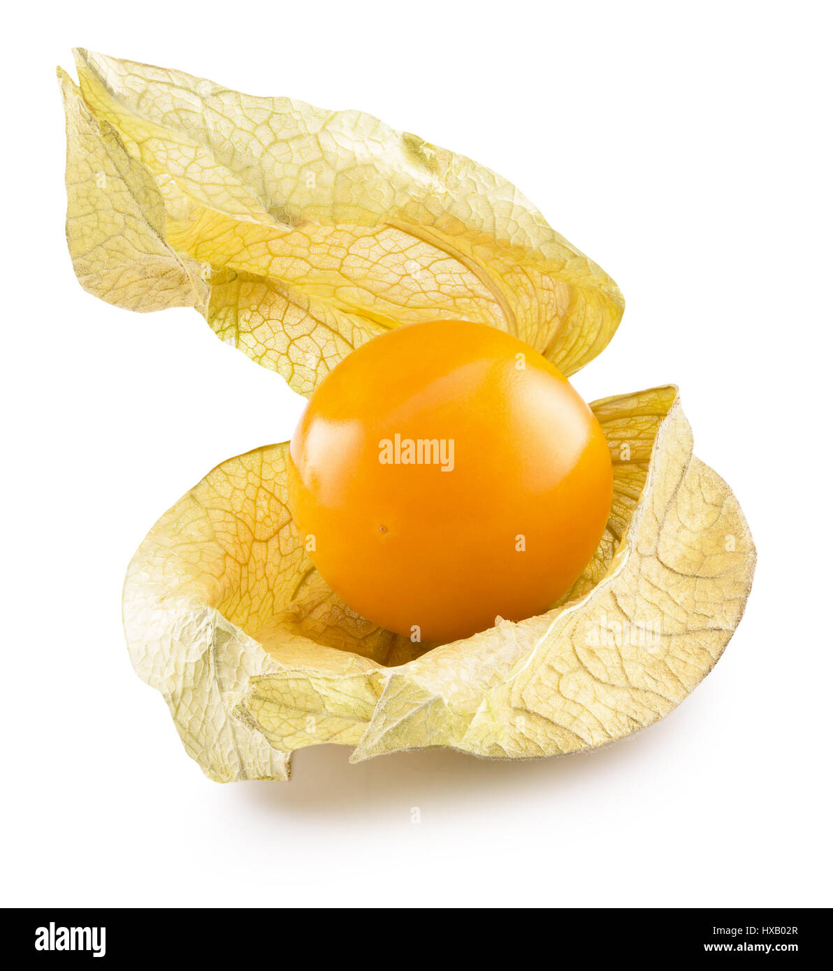 cape gooseberry isolated on a white background. Stock Photo