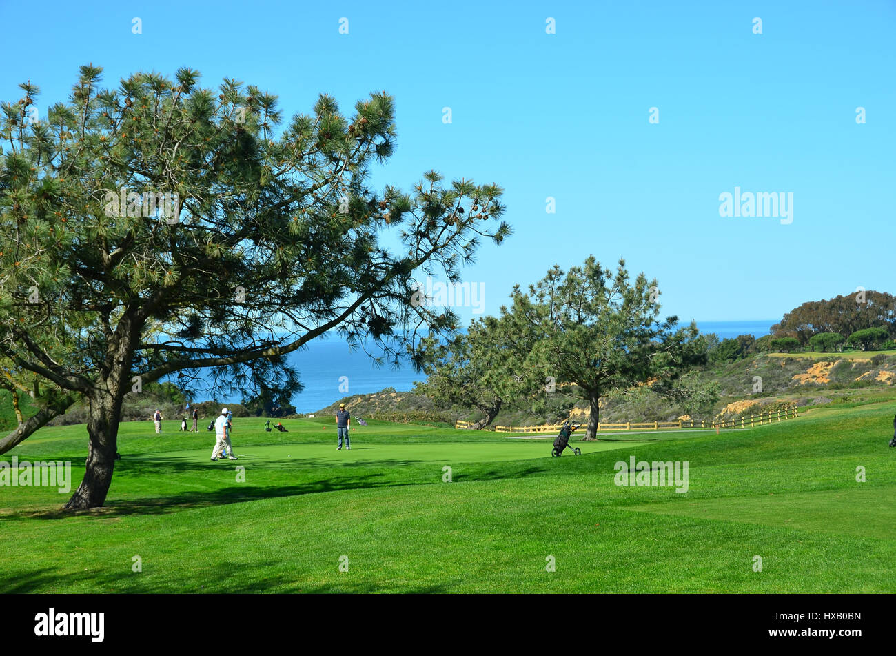 Ocean Course Background Golf Course with ocean in background Stock Photo - Alamy