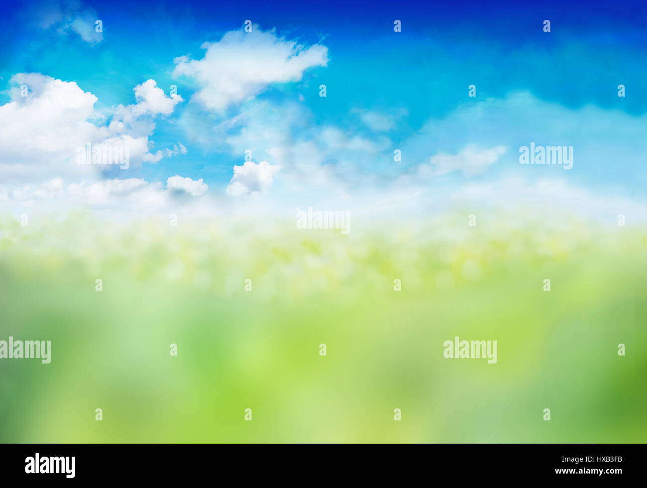 Banner sky, clouds, heaven - Meadow, grass, nature - Blurred background ...