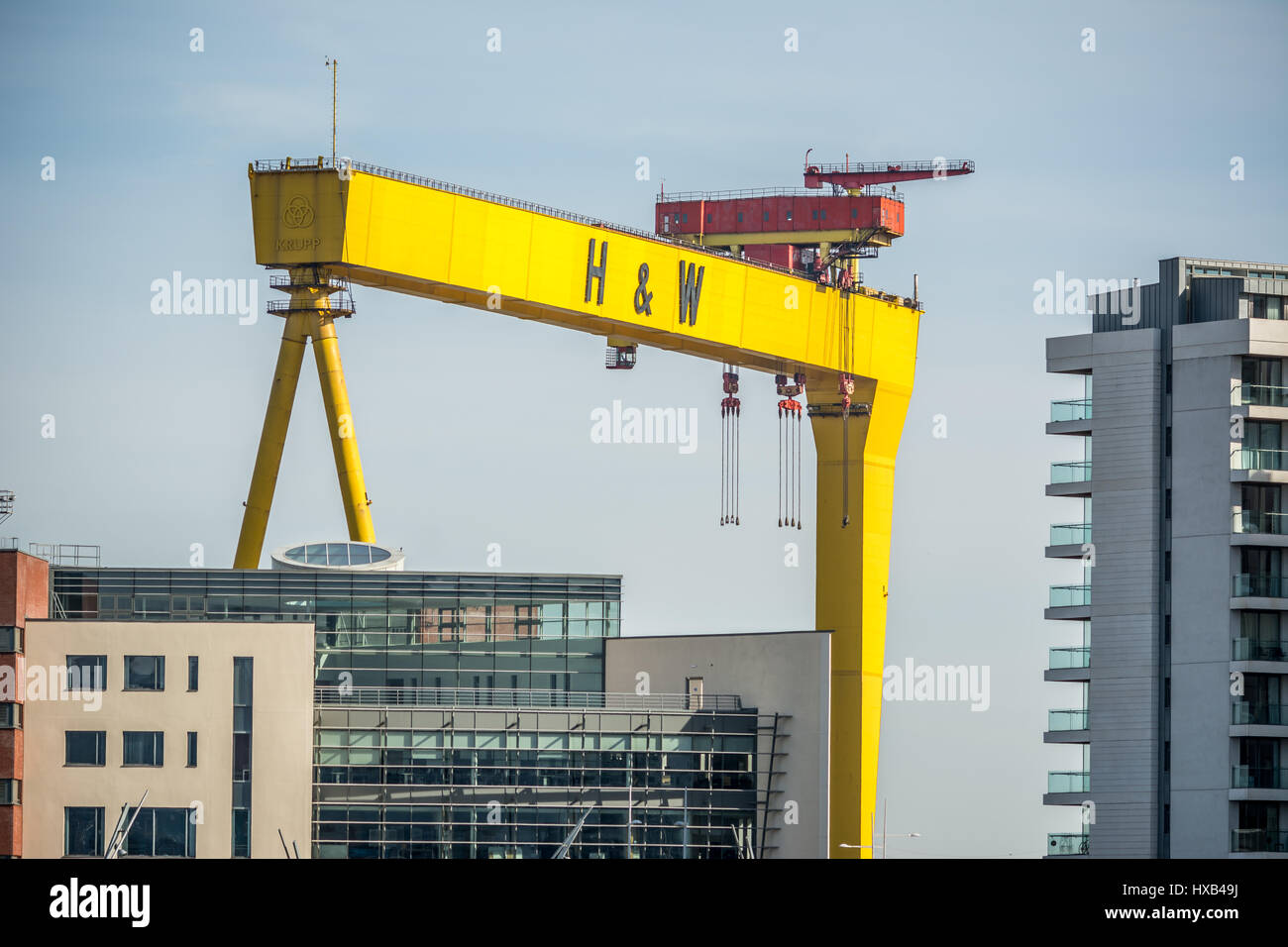 World renown Harland and Wolff crane in Titanic Quarter in Belfast. Stock Photo