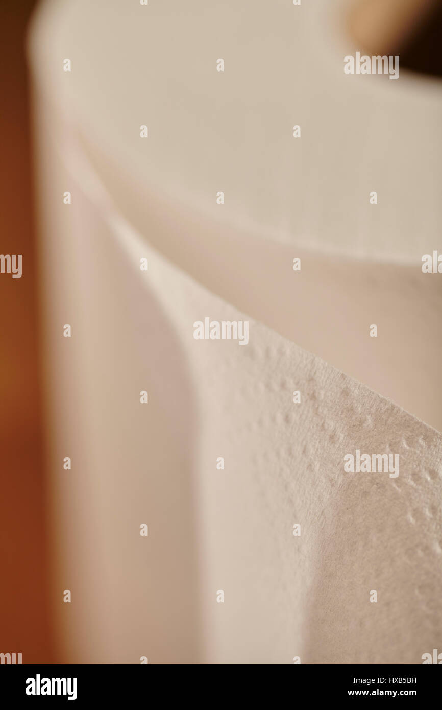 roll of toilet paper, called a "toilet roll" in some Englishspeaking