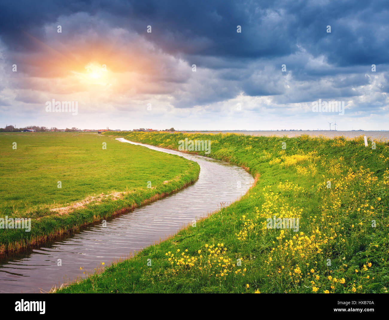 Beautiful landscape with green grass field, flowers, pond and cloudy blue sky at sunset in spring. Colorful nature background. Overcast. Green meadow. Stock Photo