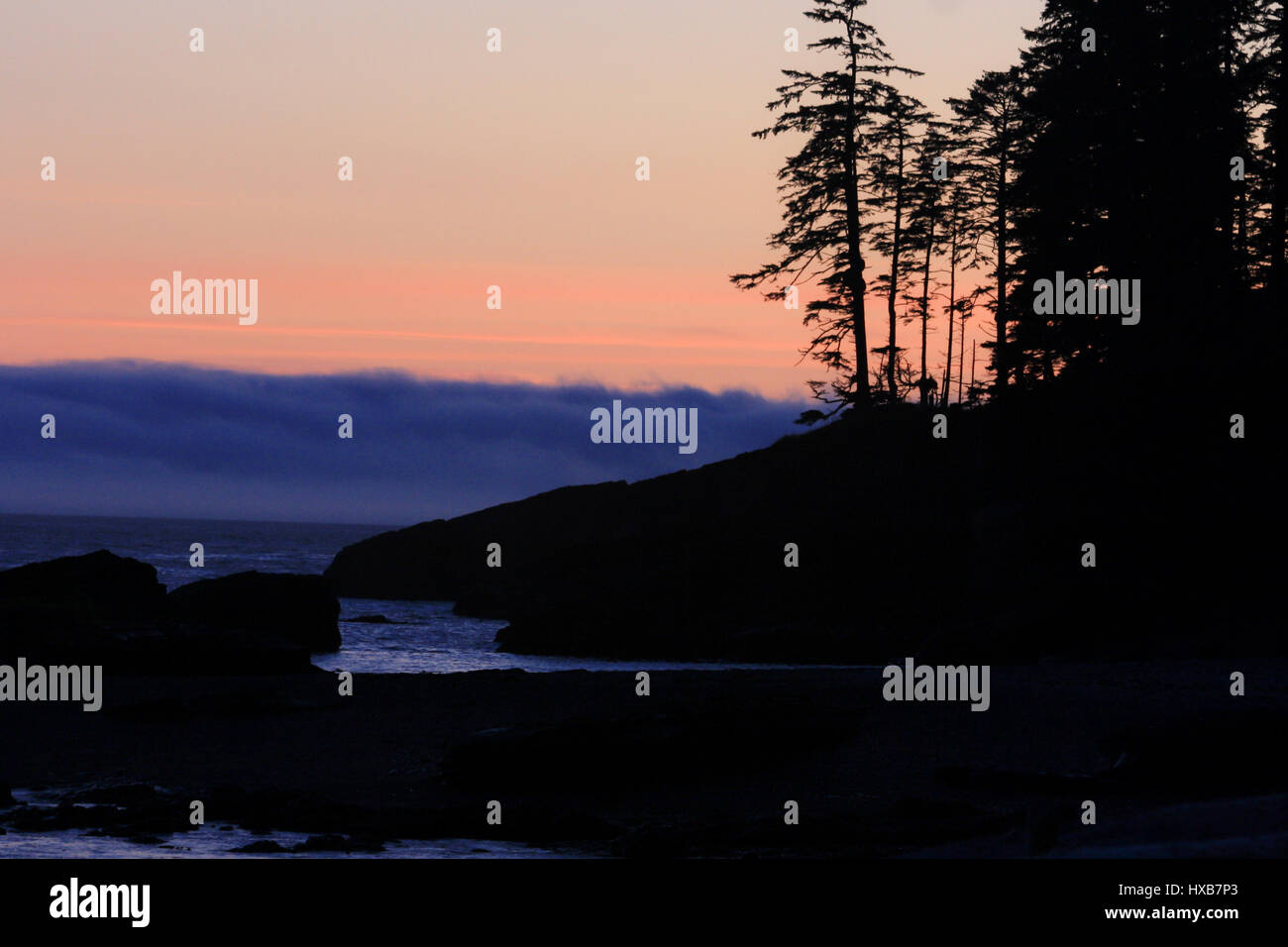 Sunset on the West Coast Trail, Vancovuer Island, BC Stock Photo