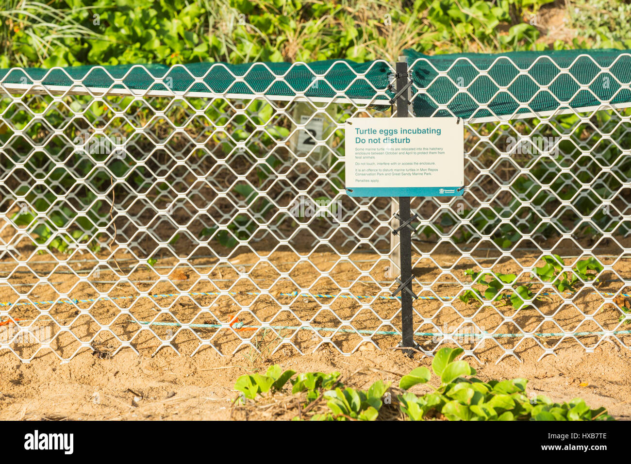A hatchery cage on Mon Repos beach used to protect sea turtle nests from predators.  Mon Repos Conservation Park, Bundaberg, Queensland, Australia Stock Photo
