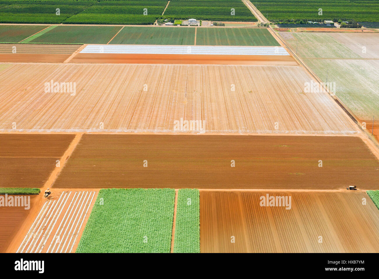 Aerial view of farmland cultivated for sugar cane near Bundaberg, Queensland, Australia Stock Photo