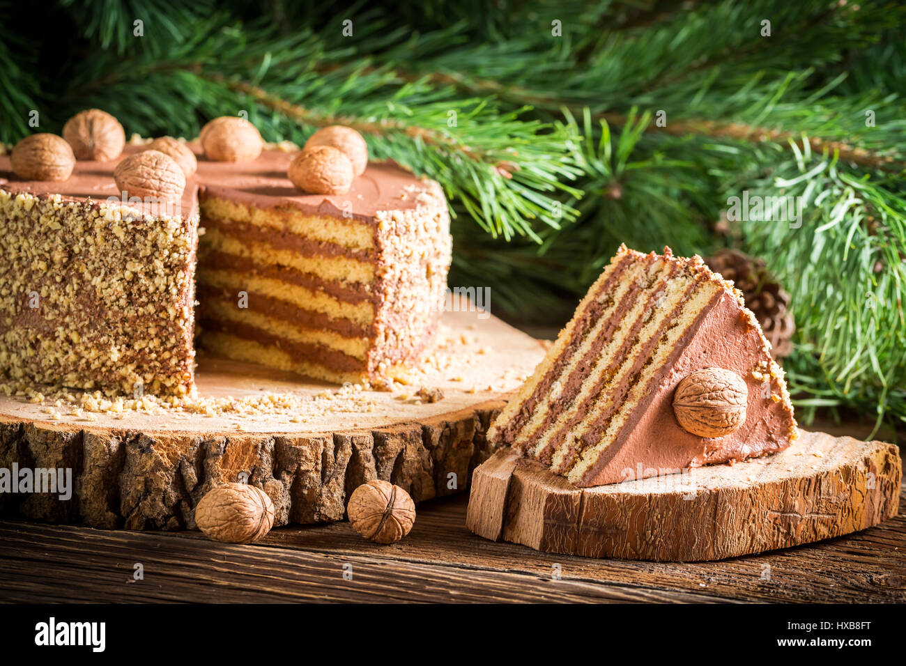 Piece of Chocolate cake served in forest Stock Photo - Alamy