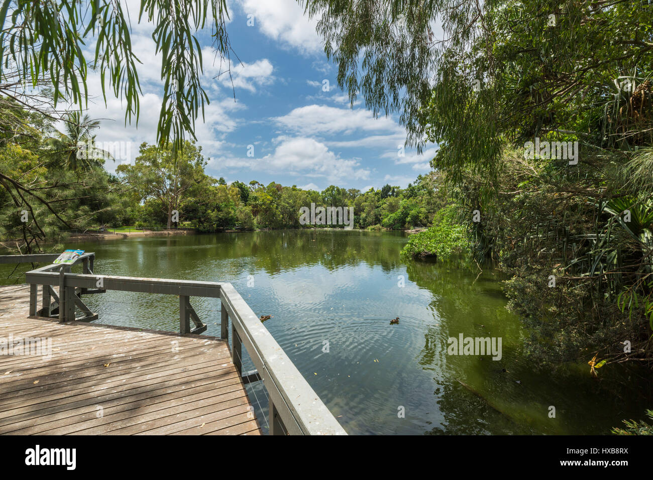 Boardwalk overlooking a lake in the Bundaberg Botanic Gardens, Bundaberg, Queensland, Australia Stock Photo