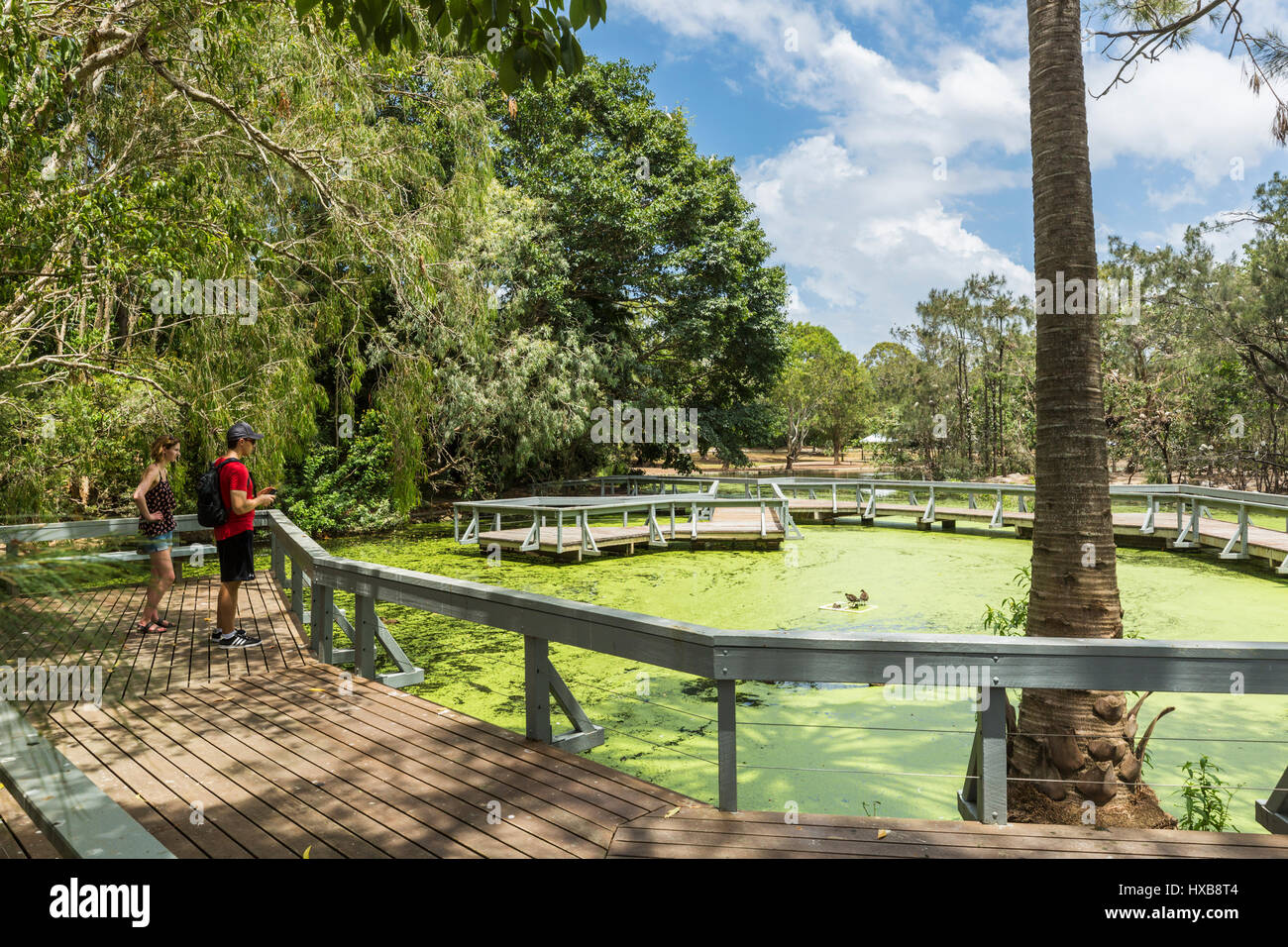 Visitors exploring a boardwalk overlooking lakes in the Bundaberg Botanic Gardens, Bundaberg, Queensland, Australia Stock Photo
