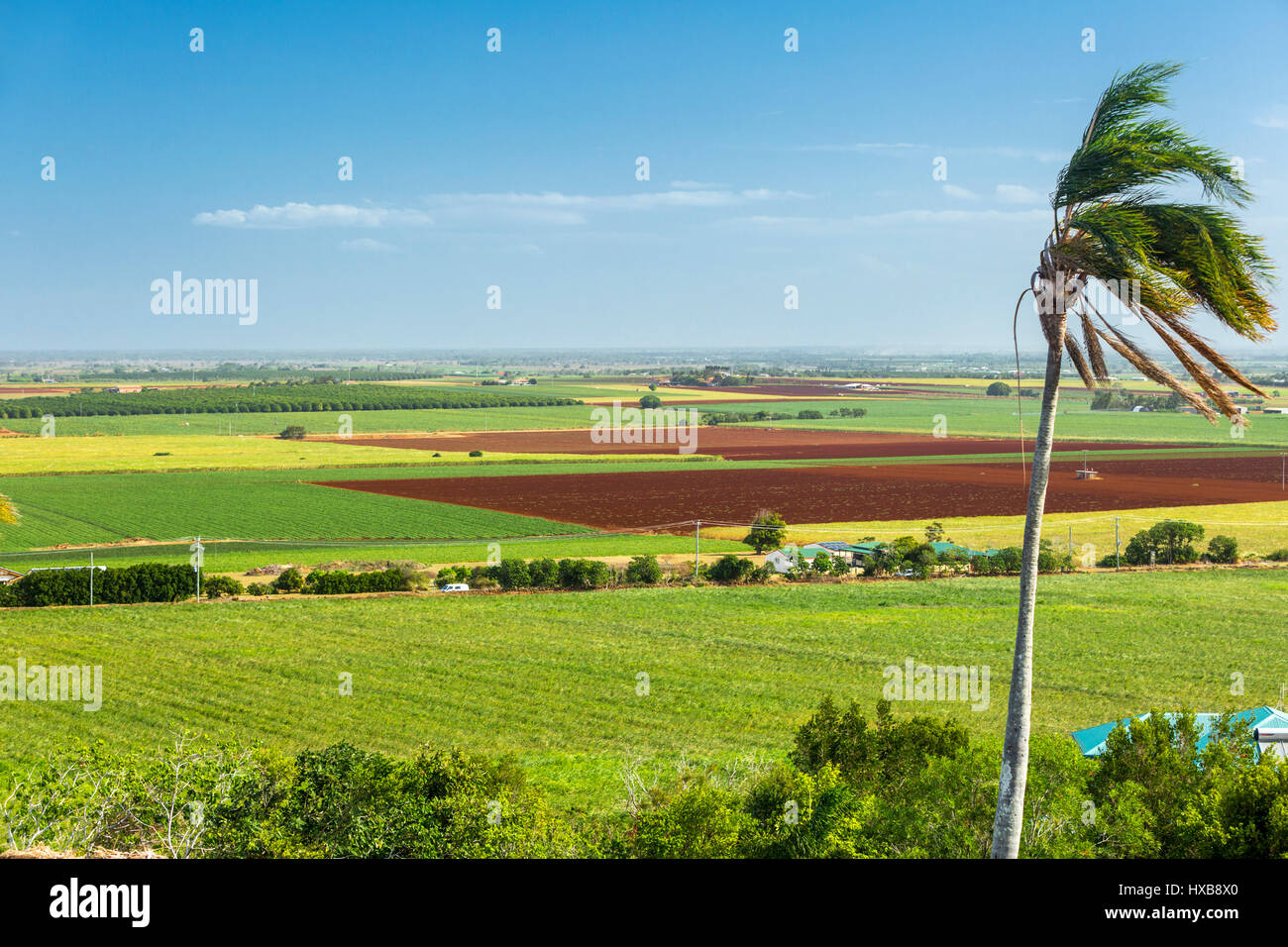 View of cane farmland from the Hummock Lookout.  Bundaberg, Queensland, Australia Stock Photo