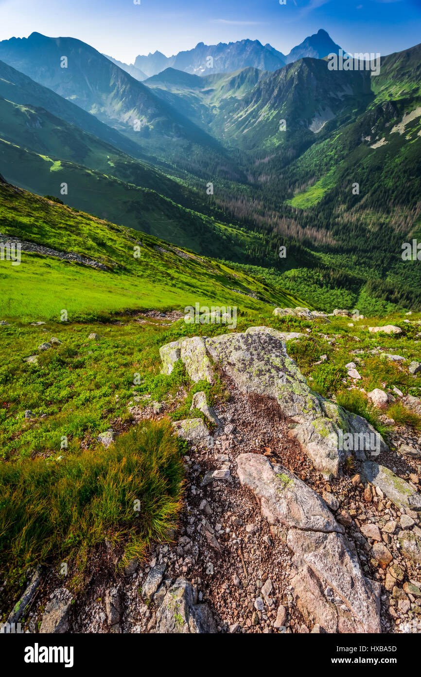 Dawn in green mountains hi-res stock photography and images - Alamy