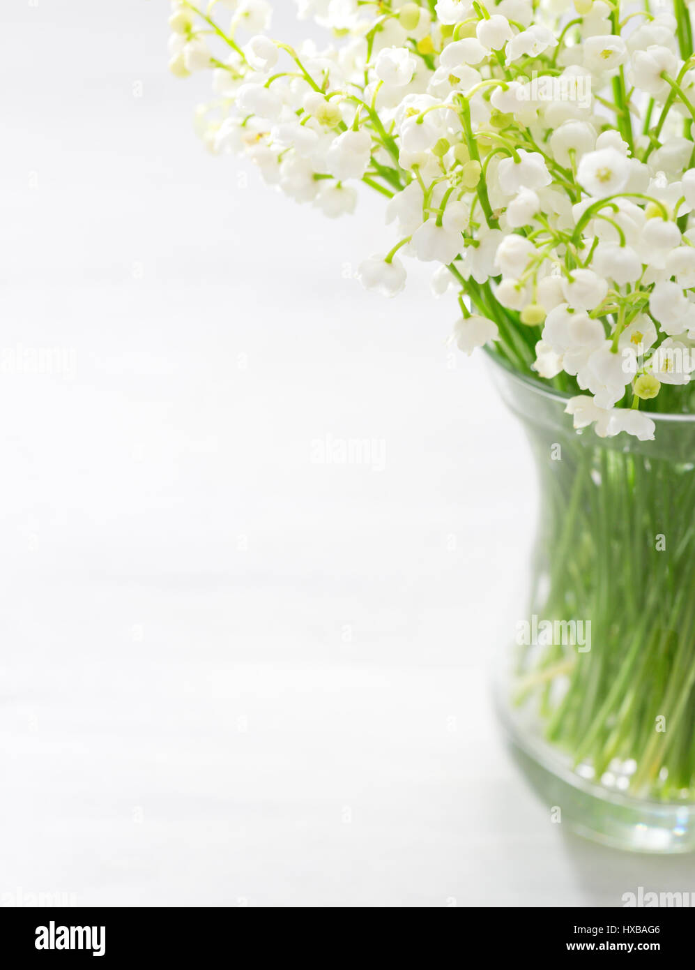 Bouquet of Lilies of the Valley in glass vase. Stock Photo