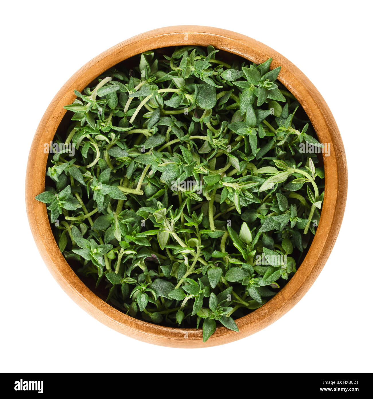 Fresh thyme stems in wooden bowl. Green herb with culinary, medicinal and ornamental uses. Thymus vulgaris is a relative of oregano. Stock Photo