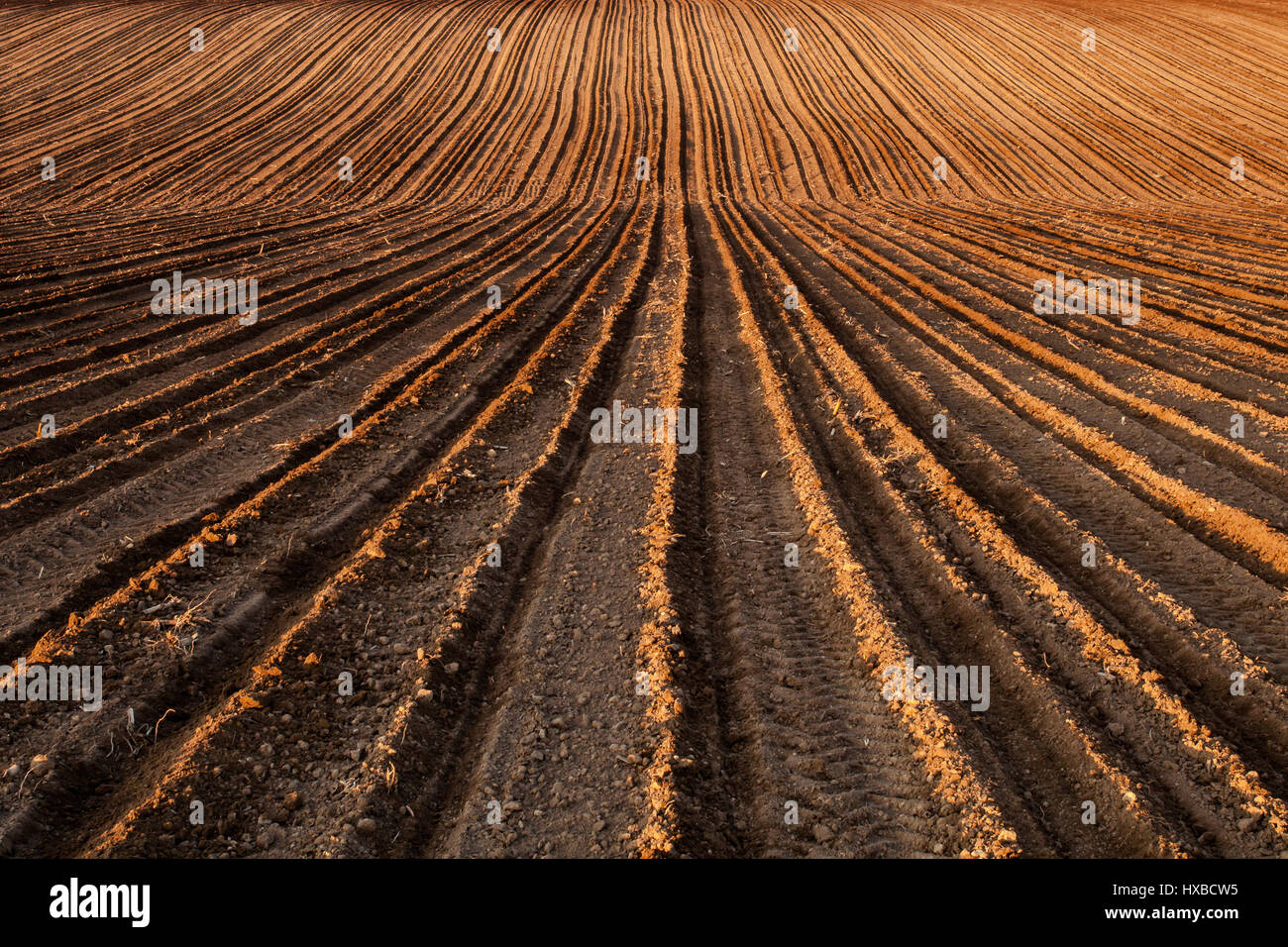 Beautifuly lit fields creating interesting pattern Stock Photo Alamy