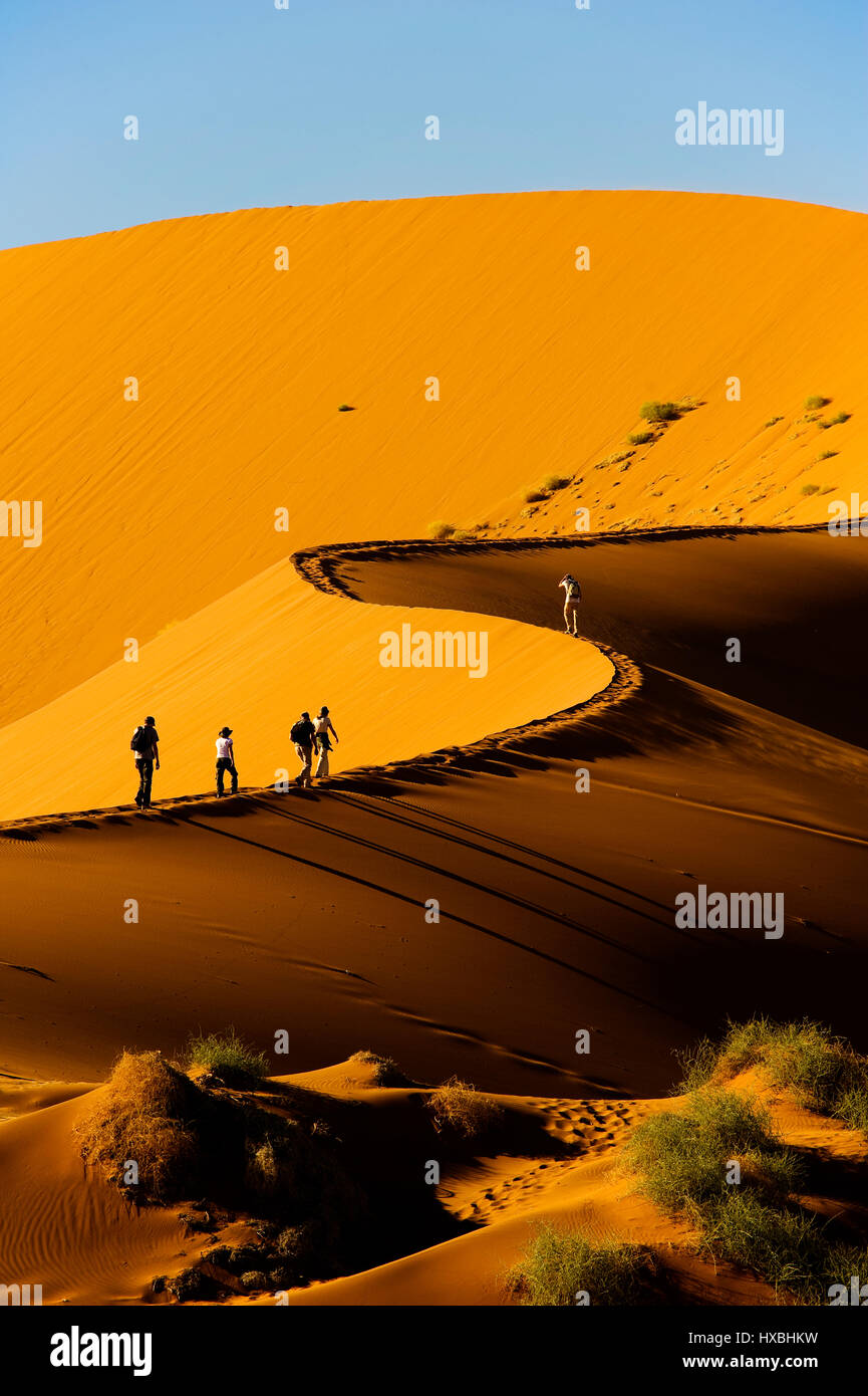 Tourists climbing Sossusvlei huge dune, Sossusvlei, Namib Naukluft ...