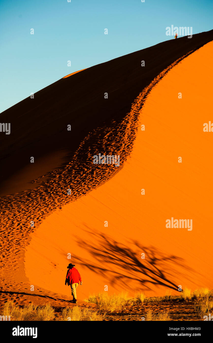 Tourist climbing the famous Dune 45 at Sossusvlei, Namib Naukluft ...