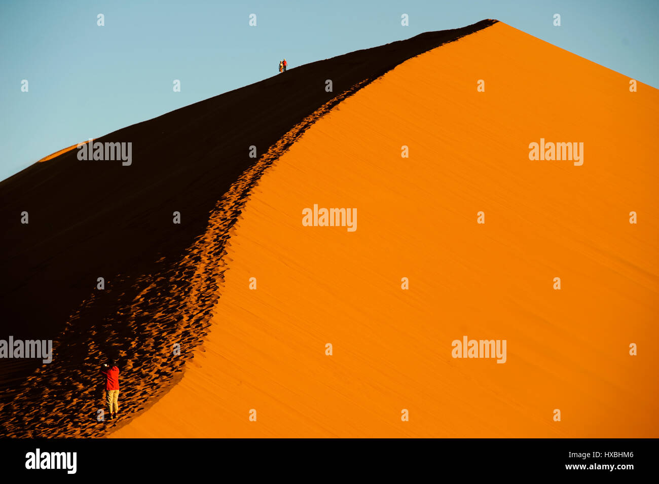 Tourist climbing the famous Dune 45 at Sossusvlei, Namib Naukluft ...
