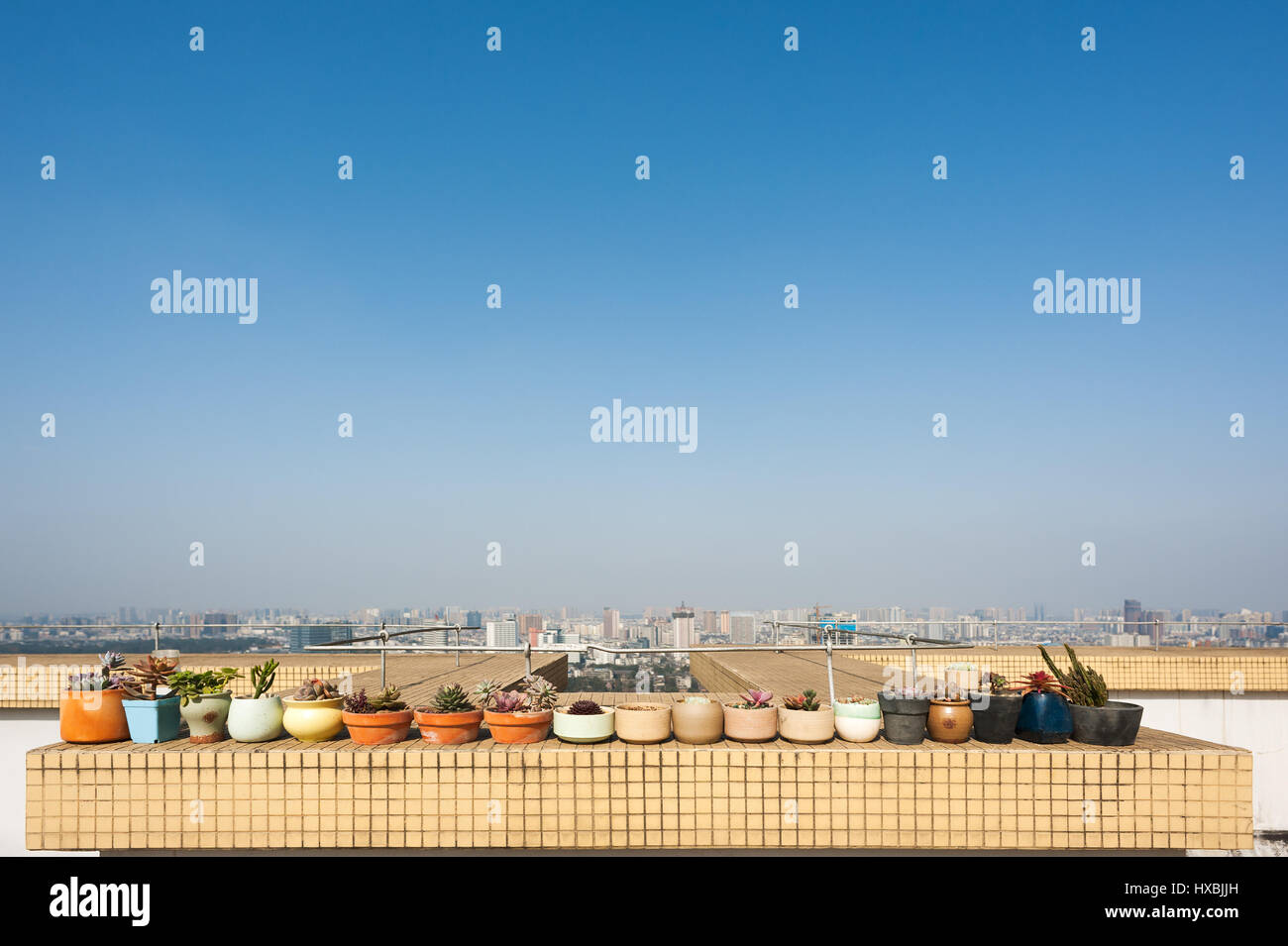 row of small plants on a building roof against blue sky Stock Photo