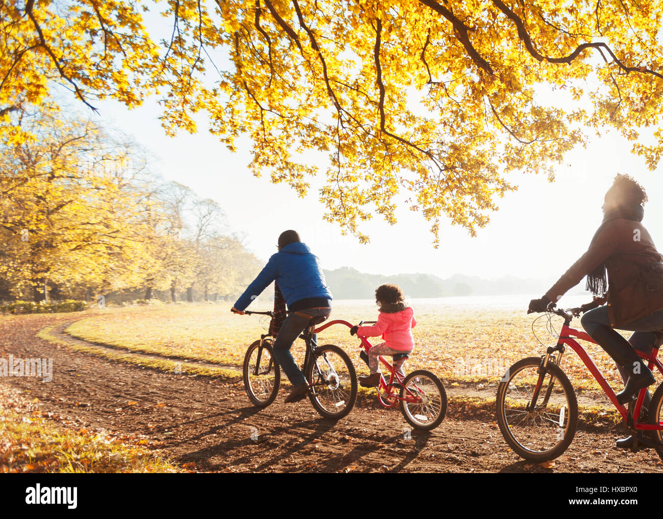 Young family bike riding on path in sunny autumn woods Stock Photo