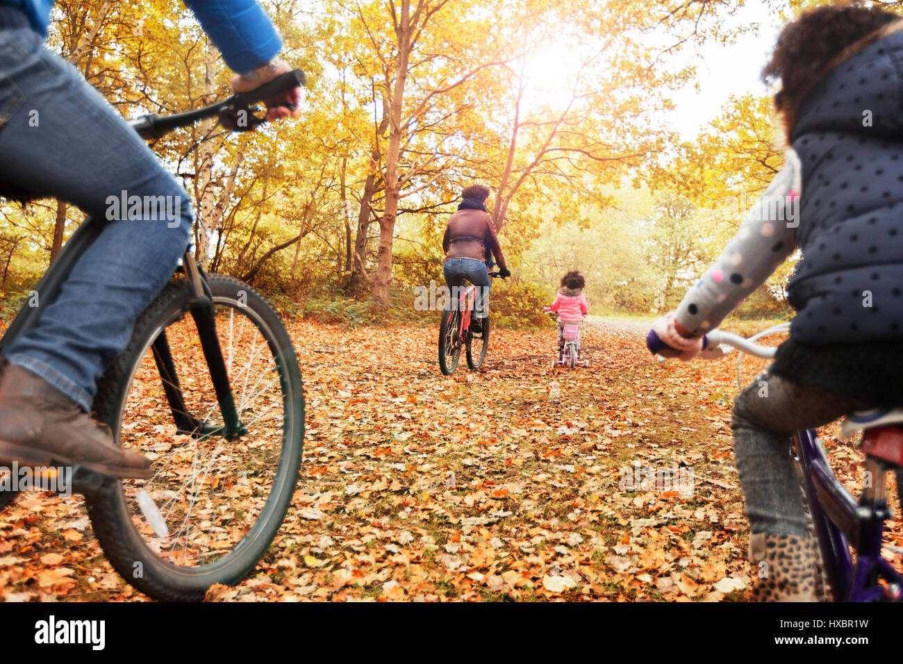 Young family bike riding in autumn woods Stock Photo