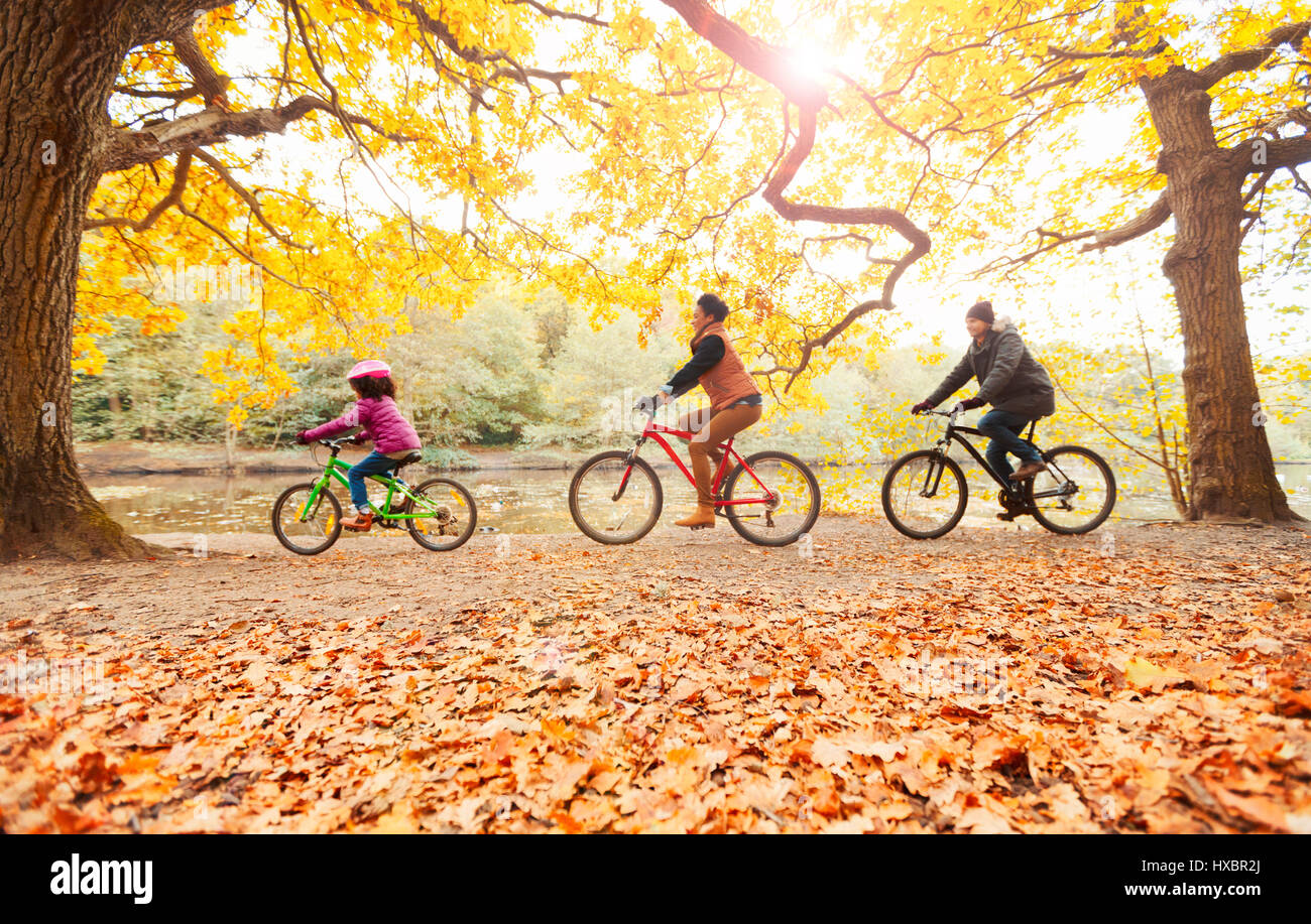 Young family bike riding in autumn park Stock Photo