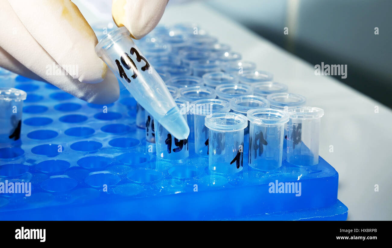 Lab technician scientist makes chemical analysis Stock Photo Alamy