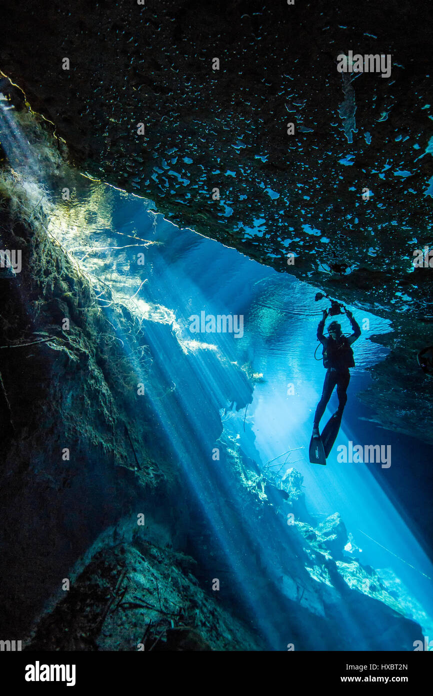 An underwater photographer silhouetted against the magical sunlight beams in the entrance cavern of Chac-mool cenote. Stock Photo