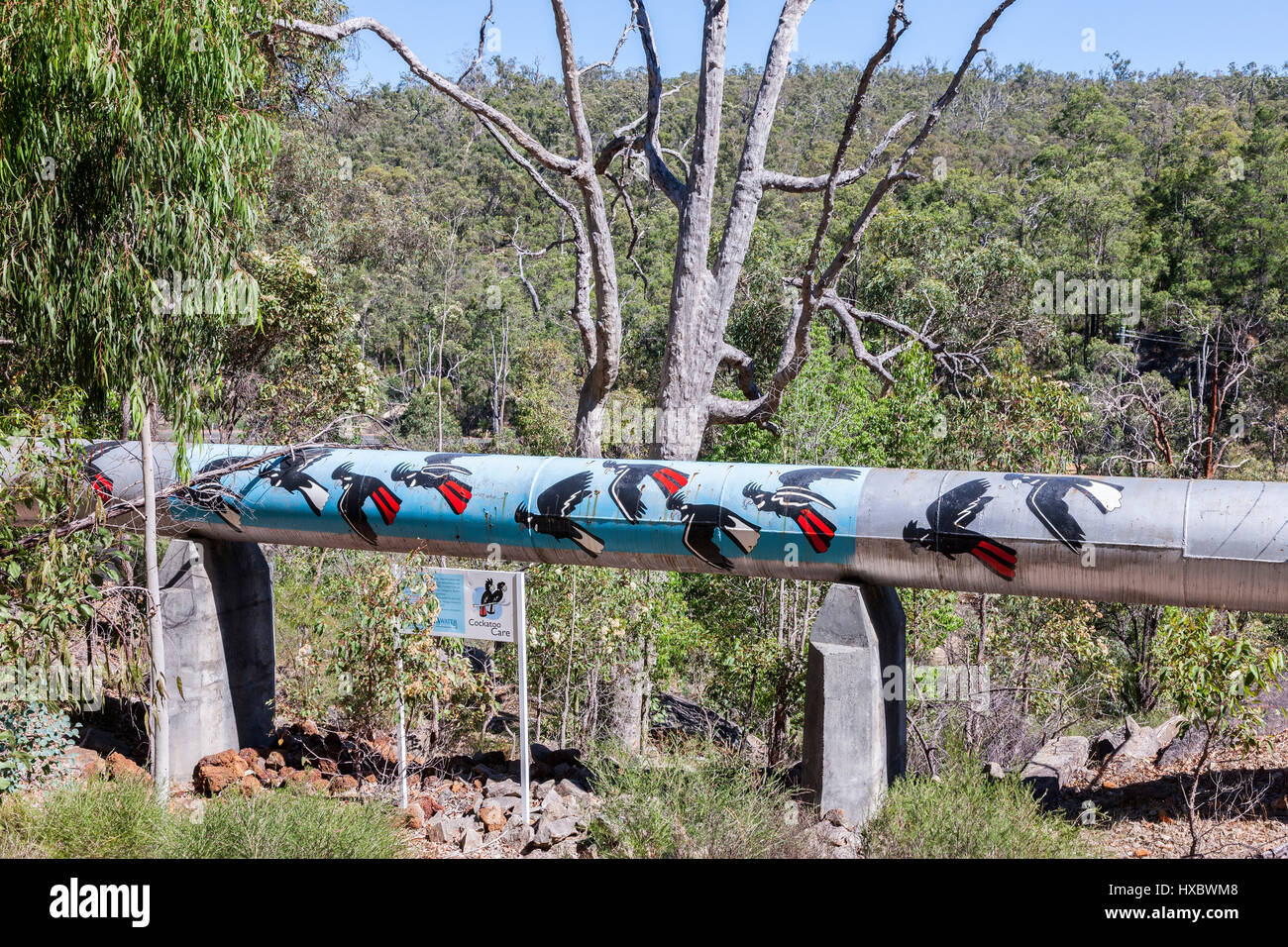 The Goldfields Water Supply Scheme is a pipeline and dam project that