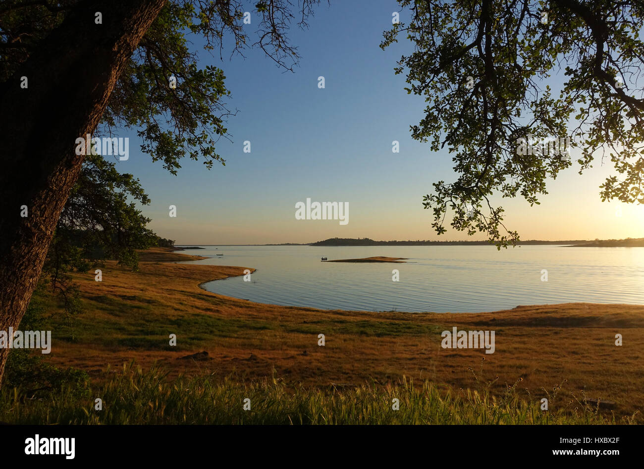 A calm lake in the late afternoon, in the distance, there are fisherman on a small boat.  A tree frames the image.  Folsom Lake, California Stock Photo