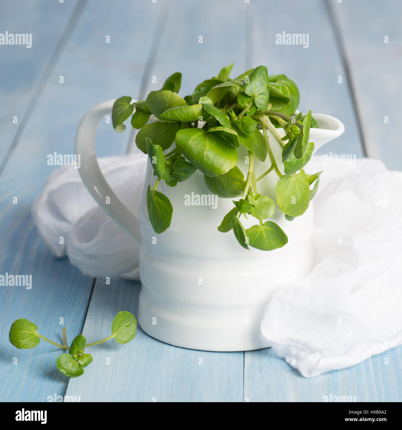 Fresh watercress in a jug with white muslin cloth Stock Photo