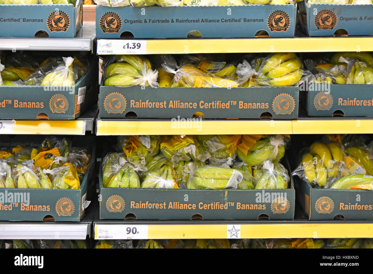 Organic & Fairtrade Rainforest Alliance Certified Bananas logo in plastic bags & cardboard box packaging Tesco supermarket fruit food shelf England UK Stock Photo