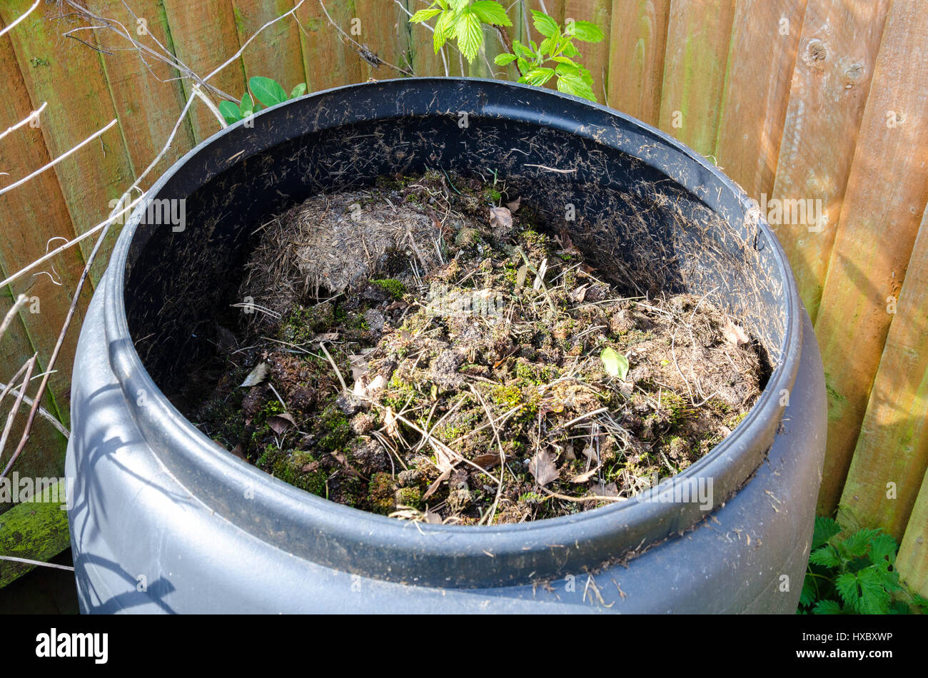 A black compost bin in the back corner of the garden Stock Photo Alamy