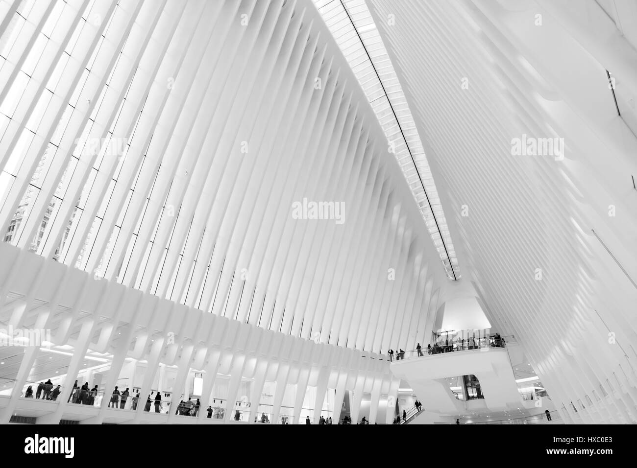 NEW YORK CITY - 1 OCTOBER 2016:  Looking up at the ceiling and central spine of Santiago Calatrava's Oculus, the modern and stegosaurus-looking train  Stock Photo