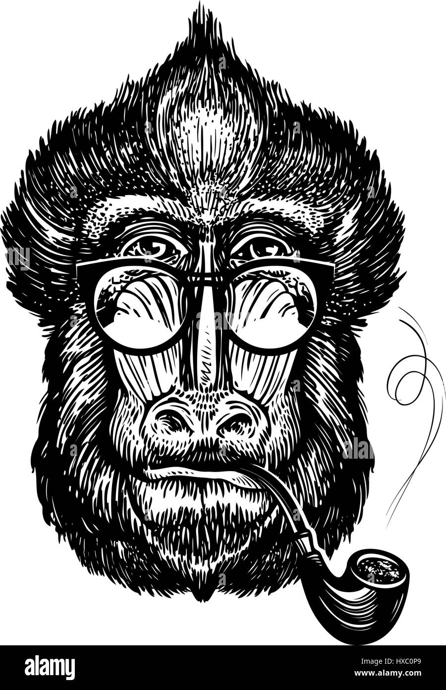 Hand-drawn portrait of funny monkey with glasses. Smart mandrill and smoking pipe. Sketch vector illustration Stock Vector