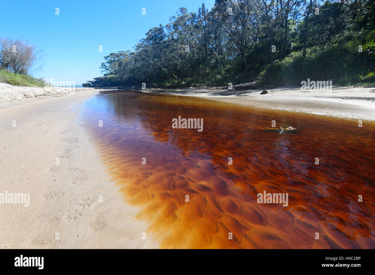 Tannin River Stock Photos & Tannin River Stock Images Alamy