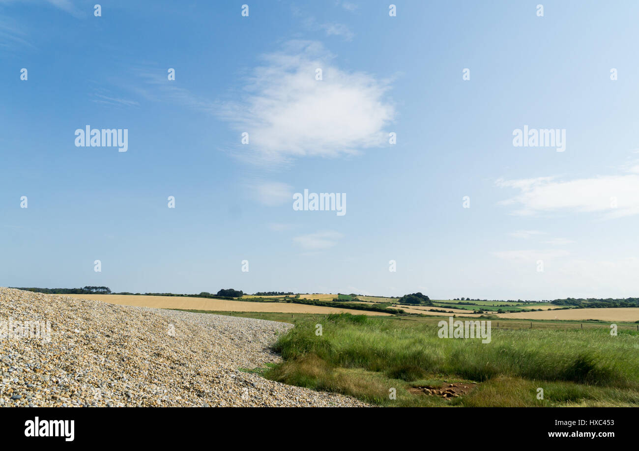 Pebble beech Norfolk UK Stock Photo - Alamy