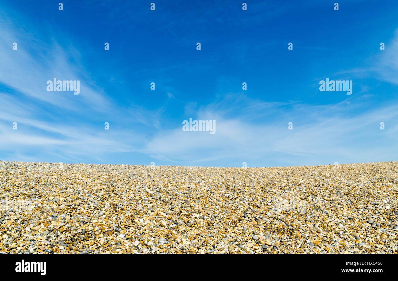 Pebble beech Norfolk UK Stock Photo - Alamy