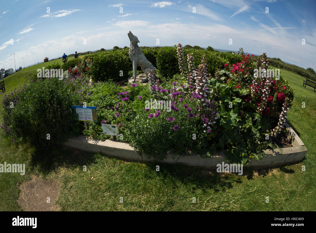 Fish eye lens hi-res stock photography and images - Alamy