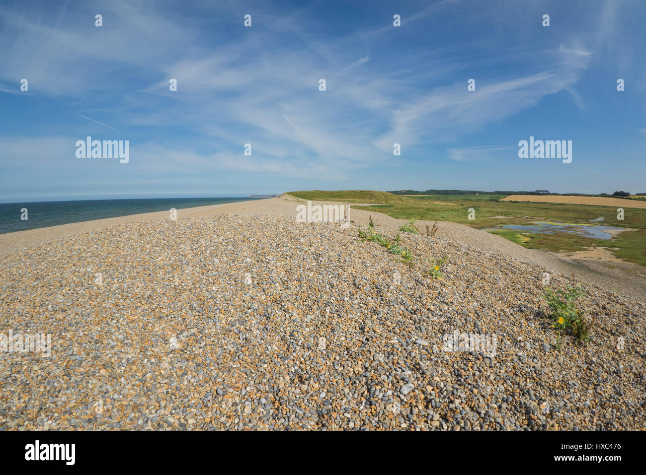 Norfolk coastline on the beech, pebbles with grasland, blue sky white clouds Stock Photo