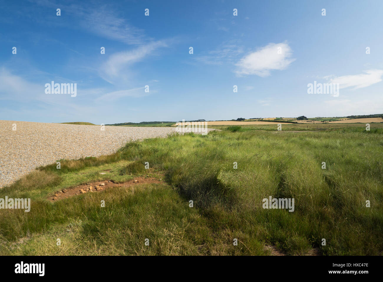 Norfolk coastline on the beech, pebbles with grasland, blue sky white clouds Stock Photo