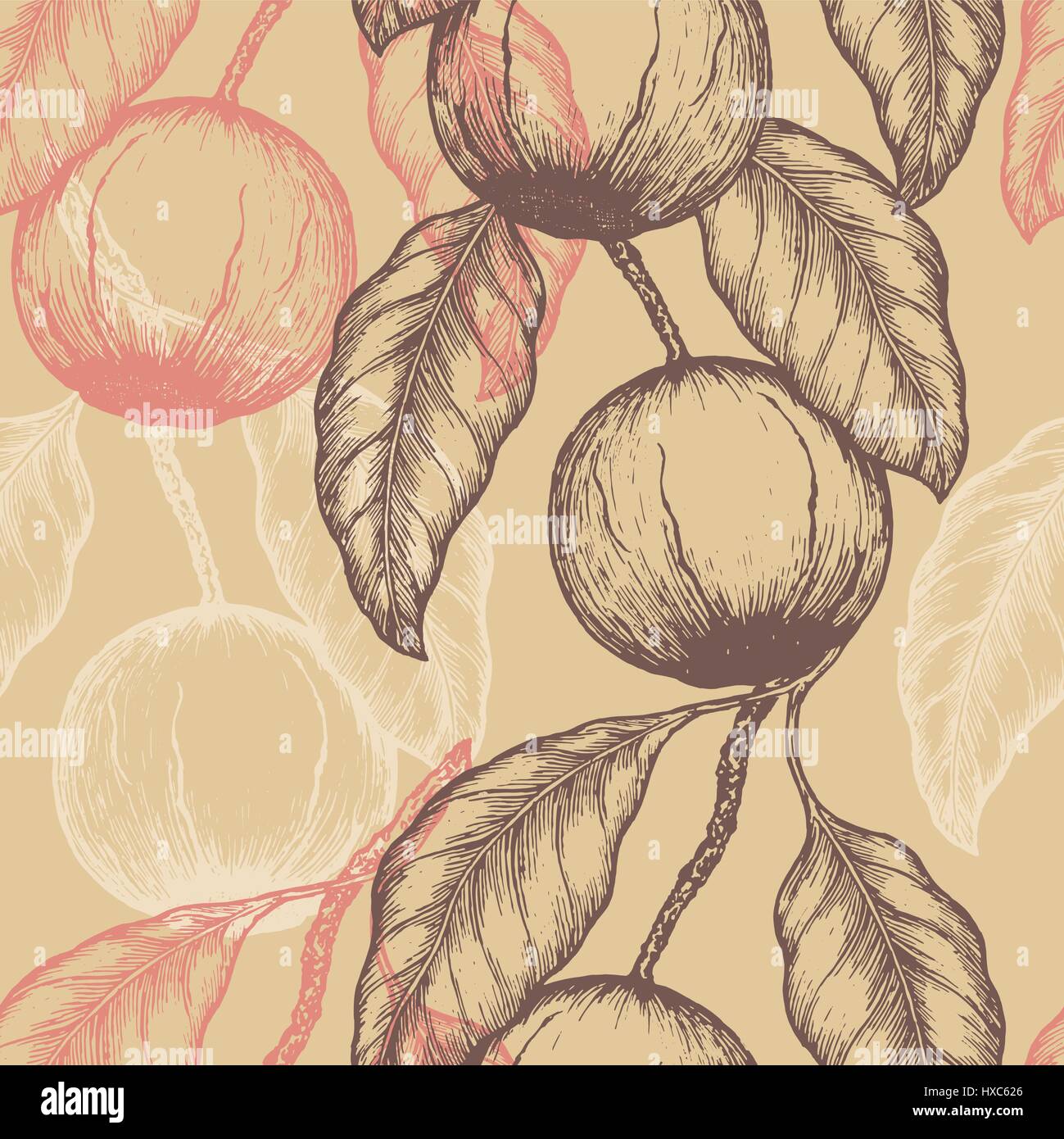 Hand drawn Brazil nuts Seamless pattern. Branch of almonds. Vector